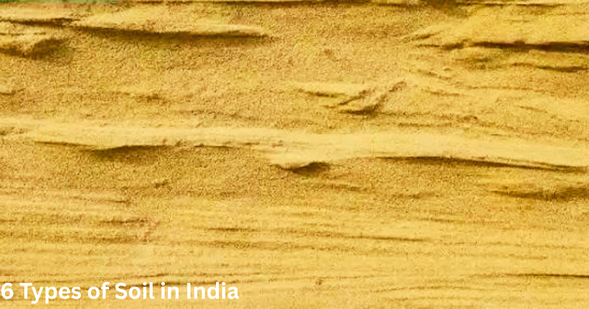 6 Types of Soil in India
