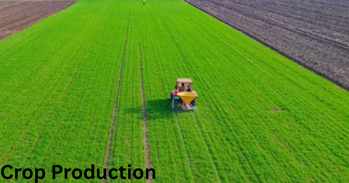 Crop Production