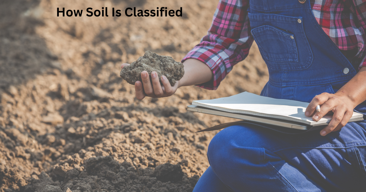 How Soil Is Classified