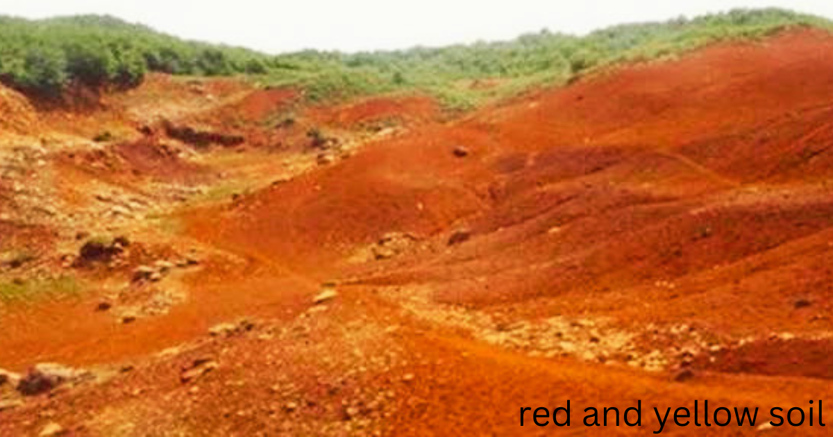 red and yellow soil