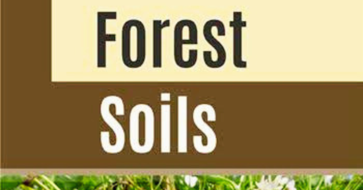Forest Soil