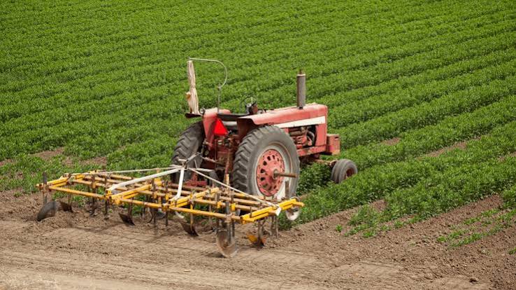 Crop Production