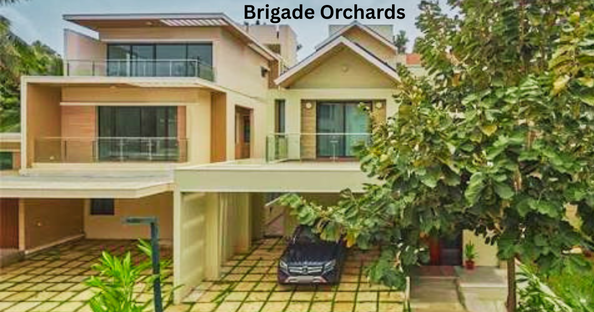 Brigade Orchards