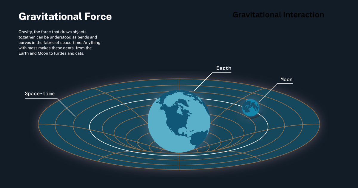 Gravitational Interaction