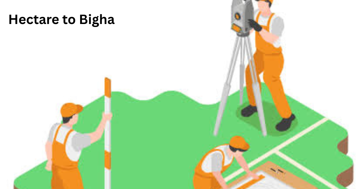 Hectare to Bigha
