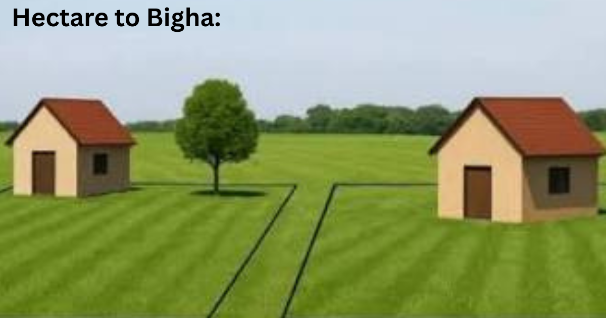 Hectare to Bigha: