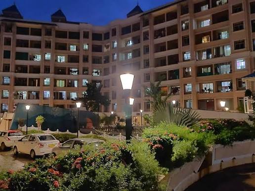 mohan palms