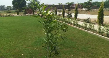 Plot For Sale In Jalandhar