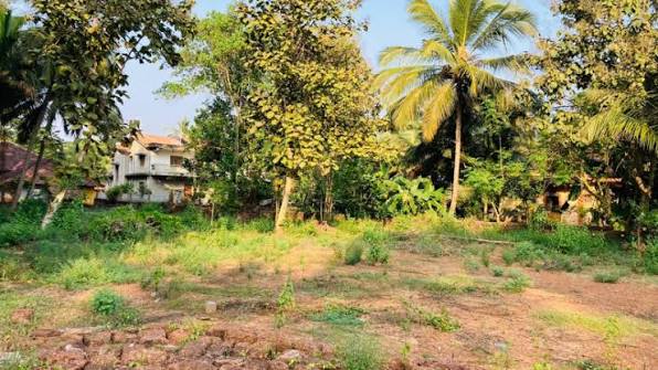 plots-for-sale-in-goa