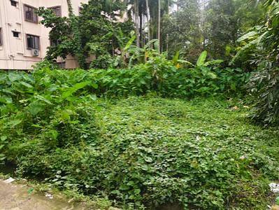Plot For Sale In Patna