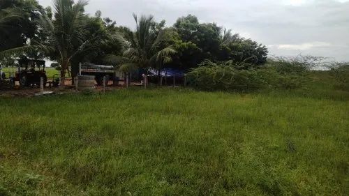 Plots For Sale In Trichy