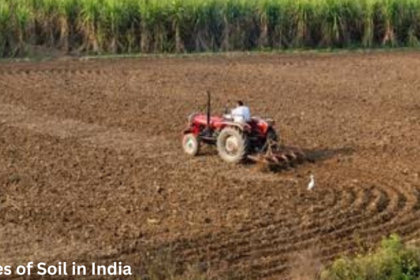 6 Types of Soil in India