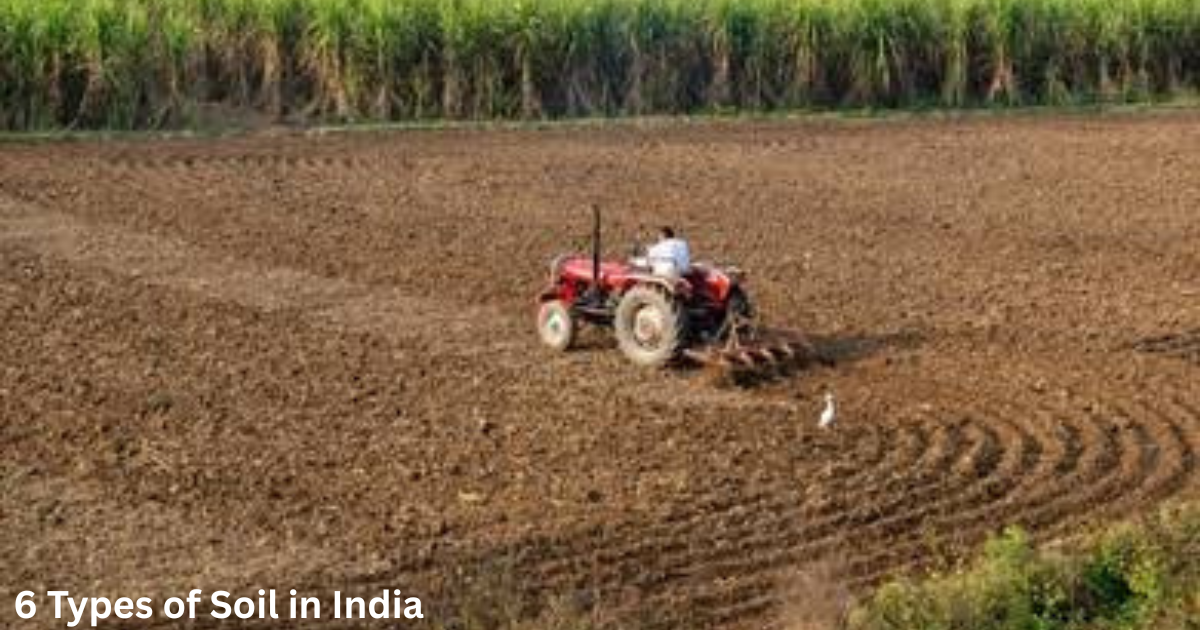 6 Types of Soil in India