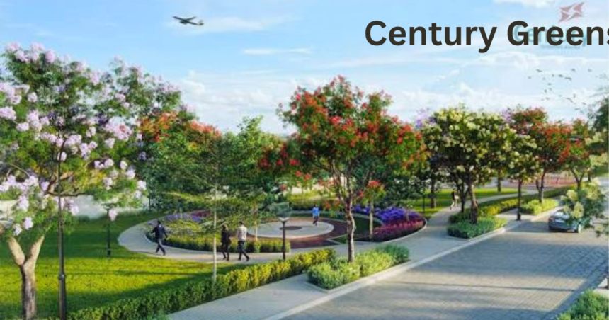 Century Greens