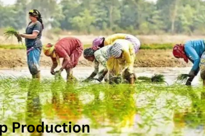 Crop Production