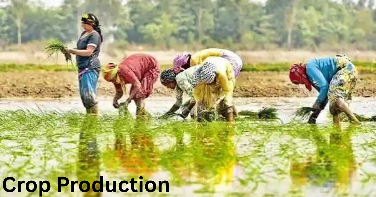 Crop Production