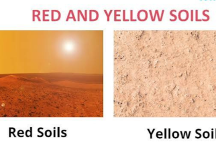 red and yellow soil