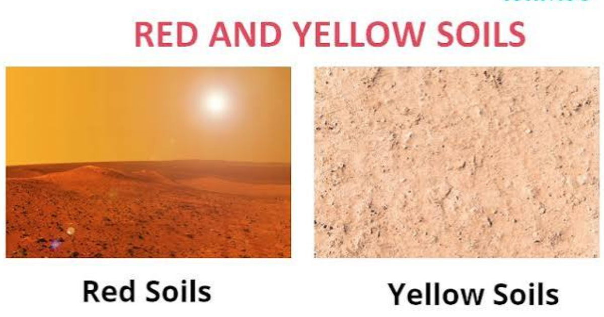 red and yellow soil