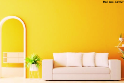 Hall Wall Colour Combination