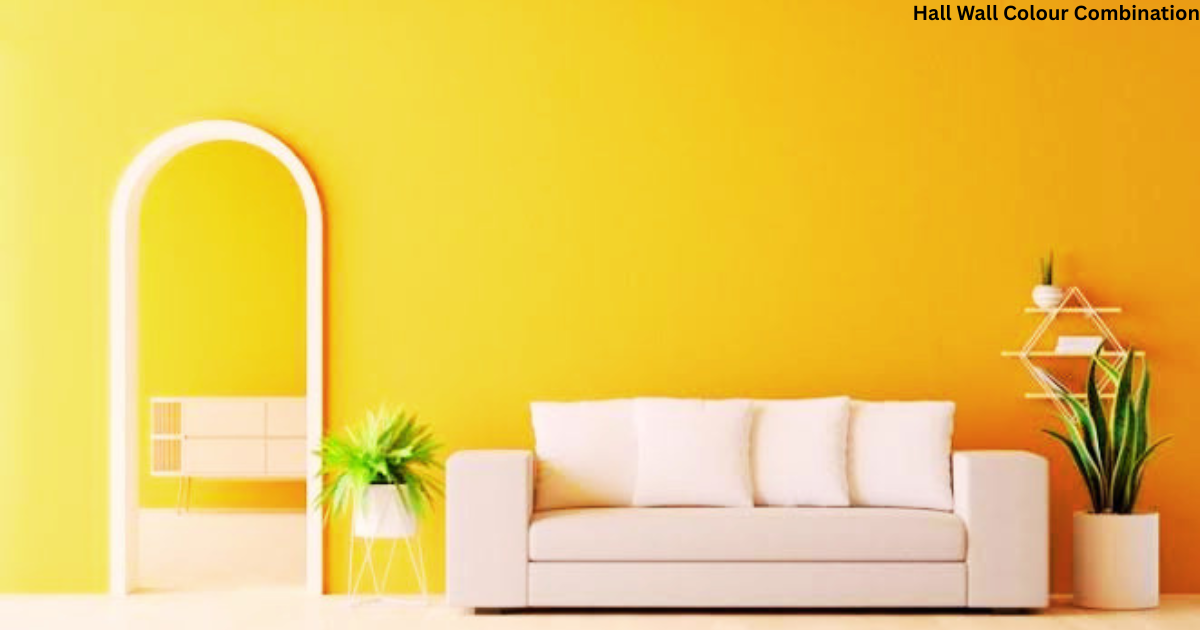 Hall Wall Colour Combination