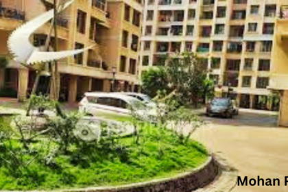 Mohan Palms