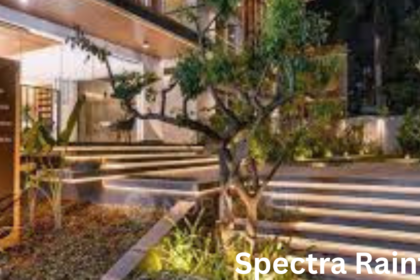 Spectra Raintree