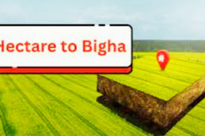 Hectare to Bigha: