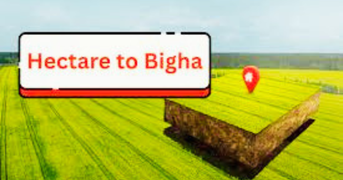 Hectare to Bigha: