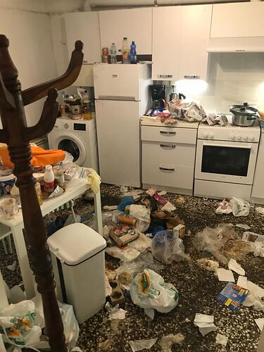 Airbnb Hosts Nightmare