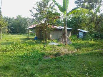 Plot For Sale In Guwahati