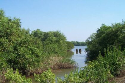 plots-for-sale-in-goa