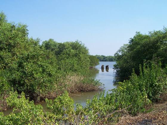 plots-for-sale-in-goa