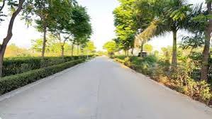 Plot For Sale In Chandigarh